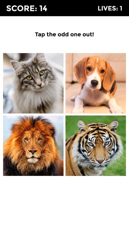 31 Odd One Out Trivia Quizzes .